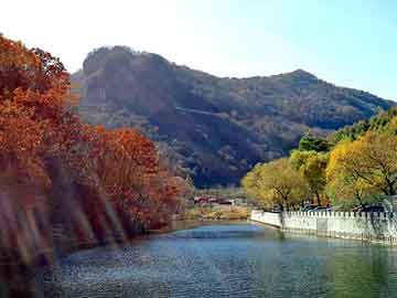 新澳天天开奖资料大全旅游团，棉裤批发